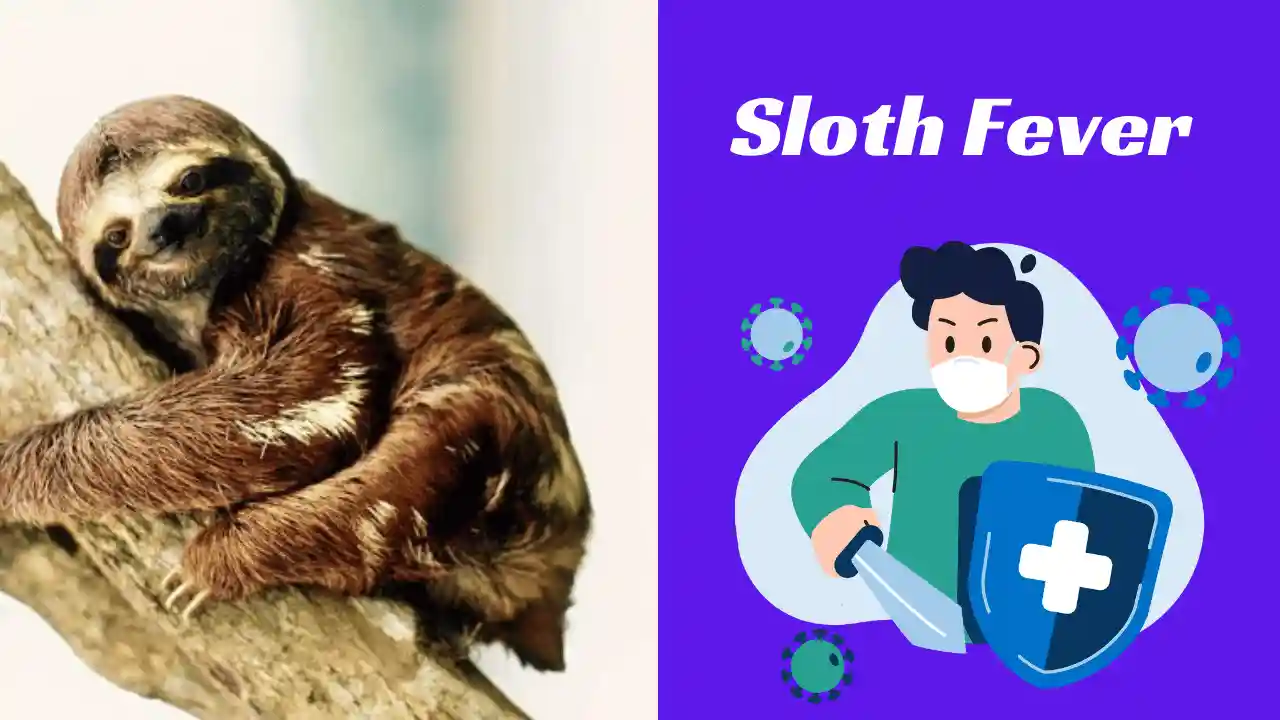 Sloth Fever