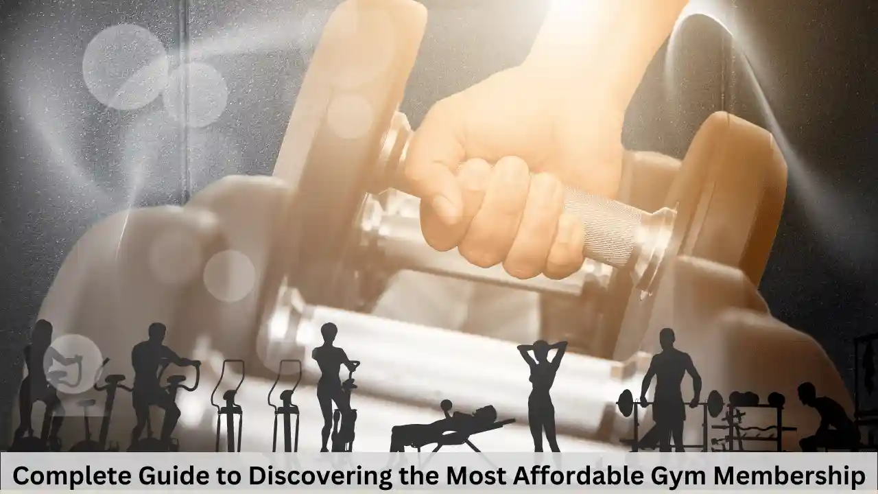 Complete Guide to Discovering the Most Affordable Gym Membership