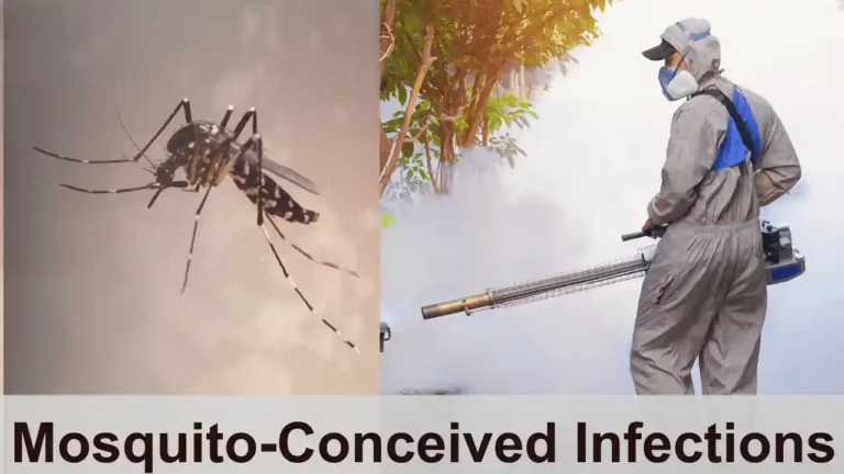 Mosquito-Conceived Infections